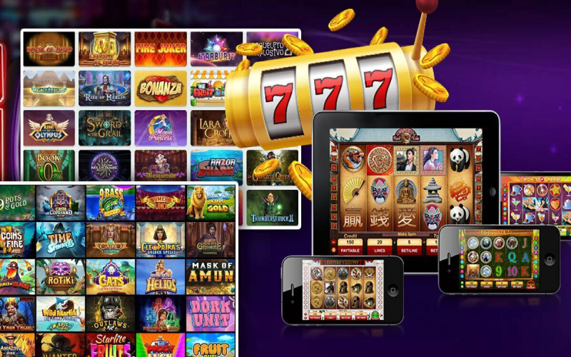 casino game 567 play